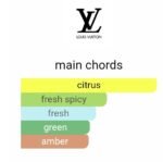 لویی ویتون ایمجینیشن مردانه - تصویر 7