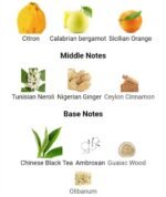 عطر لویی ویتون ایمجینیشن مردانه - Louis Vuitton Imagination