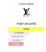 لویی ویتون سیتی آف استارز مردانه زنانه