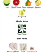 لویی ویتون سیتی آف استارز مردانه زنانه