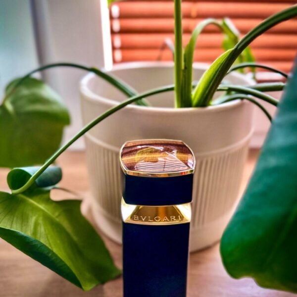 بولگاری تایگار مردانه