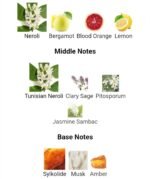 تام فورد نرولی پورتوفینو مردانه زنانه - تصویر 5