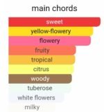 مون بلان سیگنیچر ابسولو زنانه - تصویر 5
