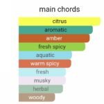 لویی ویتون لمانسیته مردانه - تصویر 6