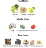 ایو سن لورن وای مردانه - تصویر 3