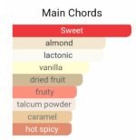 زرجف کازاموراتی ایتالیکا مردانه و زنانه - تصویر 6