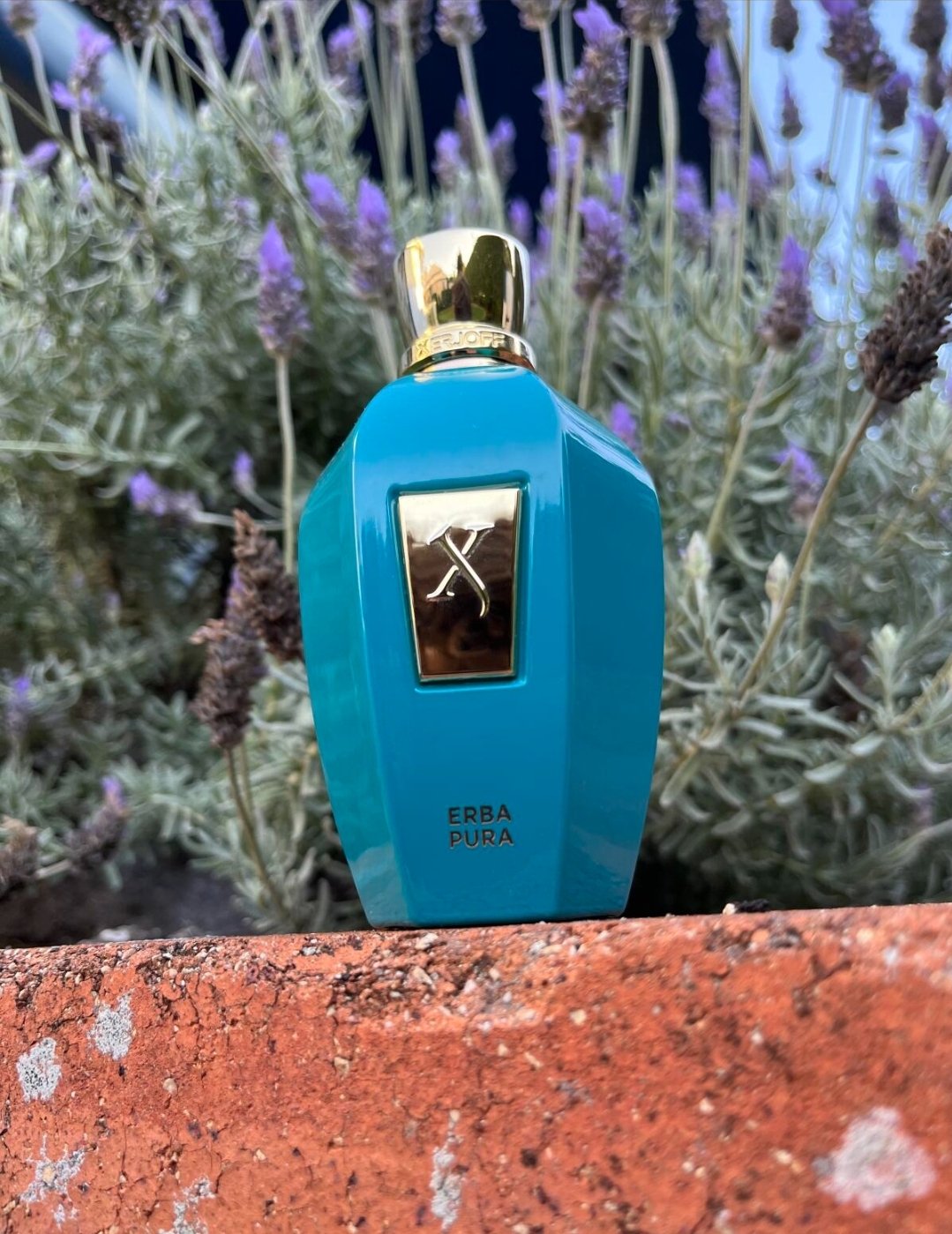 Screenshot_20250113_204033_Chrome زرجف اربا پورا مردانه و زنانه - تصویر 1