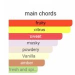 زرجف اربا پورا مردانه و زنانه - تصویر 5