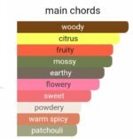 کلوهه نومد زنانه - تصویر 5