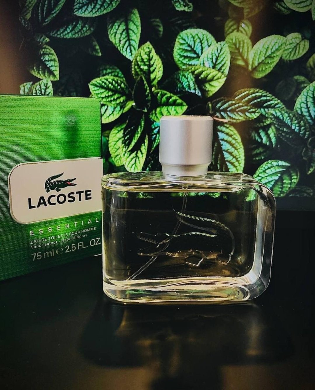 Screenshot_20250121_195417_Chrome لاگوست اسنشیال سبز مردانه - تصویر 1