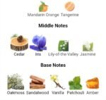 لالیک پورهوم (شیر) مردانه - تصویر 5