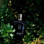 زرجف کازاموراتی رجیو مردانه زنانه - تصویر 3