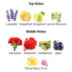 زرجف کازاموراتی رجیو مردانه زنانه - تصویر 4