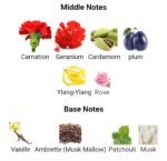 زرجف کازاموراتی رجیو مردانه زنانه - تصویر 5