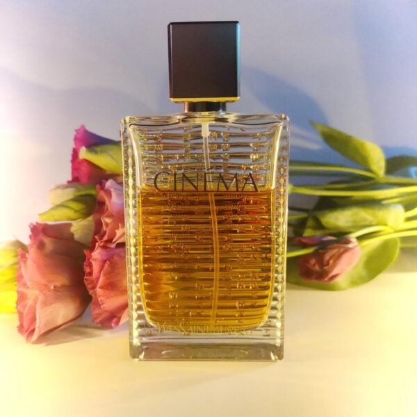 ایو سن لورن سینما زنانه