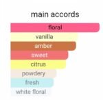 ایو سن لورن سینما زنانه - تصویر 5