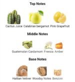 بولگاری من اکستریم مردانه - تصویر 4