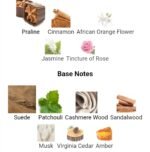 کارولینا هررا سی اچ زنانه - تصویر 5