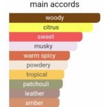 کارولینا هررا سی اچ زنانه - تصویر 6