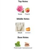 نارسیس رودریگز فور هر زنانه - تصویر 4