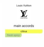 لویی ویتون افترنون سوییم مردانه زنانه - تصویر 4