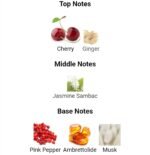 تام فورد الکتریک چری مردانه زنانه - تصویر 5