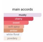 تام فورد الکتریک چری مردانه زنانه - تصویر 6