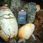 بولگاری من این بلک مردانه - تصویر 2