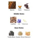 بولگاری من این بلک مردانه - تصویر 4