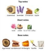 زرجف الکساندریا ۲ مردانه زنانه - تصویر 4