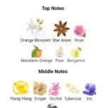 ژان پل گوتیه کلاسیک زنانه - تصویر 5