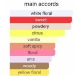 ژان پل گوتیه کلاسیک زنانه - تصویر 7