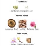 والنتینو والنتینا عود اسولوتو زنانه - تصویر 4