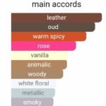 والنتینو والنتینا عود اسولوتو زنانه - تصویر 5