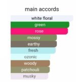 ایو روشه اویدنس زنانه - تصویر 5