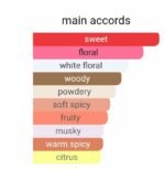 جیونچی پلی زنانه - تصویر 6