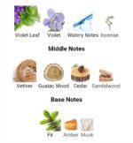 دسکوارد۲ هی وود اینتنس مردانه - تصویر 4