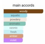 دسکوارد۲ هی وود اینتنس مردانه - تصویر 5