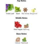 ایو سن لورن لهوم لیبر مردانه - تصویر 4