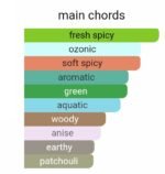 ایو سن لورن لهوم لیبر مردانه - تصویر 5