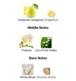 دیور ادیکت او فرش زنانه - تصویر 4