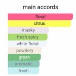 دیور ادیکت او فرش زنانه - تصویر 5