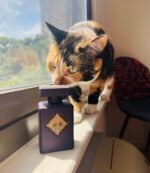 اینیشیو ساید افکت زنانه مردانه - تصویر 3