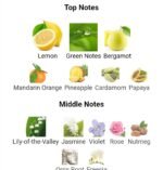 کالوین کلین سی کی وان مردانه زنانه - تصویر 4