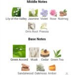 کالوین کلین سی کی وان مردانه زنانه - تصویر 5