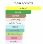 کالوین کلین سی کی وان مردانه زنانه - تصویر 6