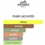 هرمس تغ هرمس پرفیوم مردانه - تصویر 5