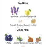 گوچی مید تو ماژور مردانه - تصویر 3