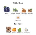 گوچی مید تو ماژور مردانه - تصویر 4