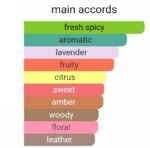 گوچی مید تو ماژور مردانه - تصویر 5